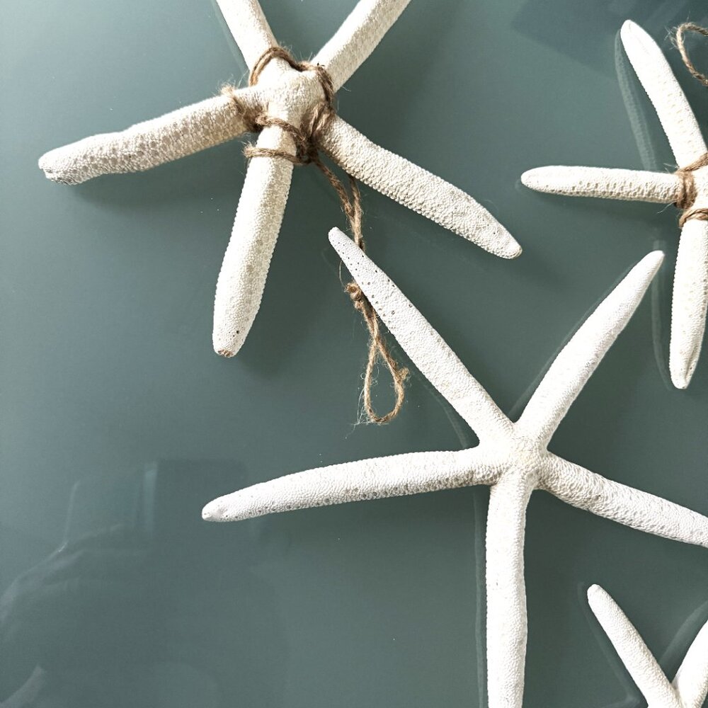 Bohemian Starfish Lot of 4 White Large Ornament Boho Decoration Seashell - Picture 3 of 9